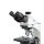 Phase contrast microscope Trinocular InfPlan 4-InfPlanPH 10/20/40/100: WF10x20: 20W Hal