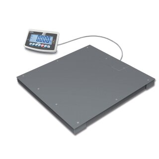 Floor scale 1 kg : 3000 kg